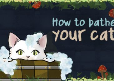 How To Bathe A Cat Without Spooking Them or Avoiding Scratches?