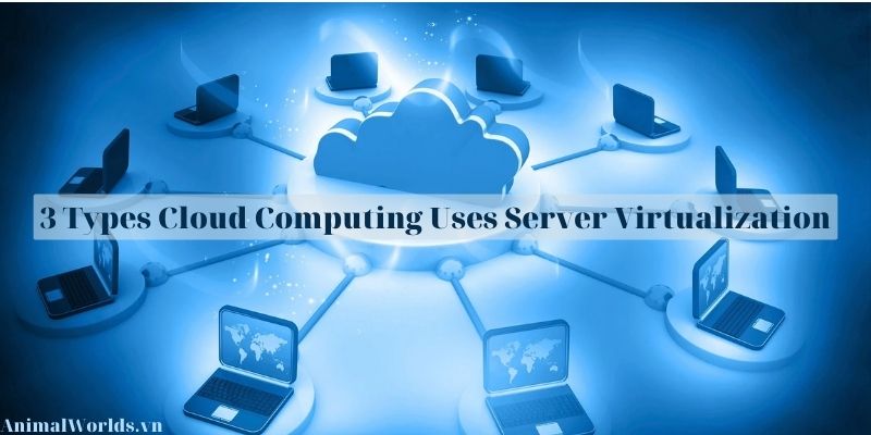 3 Types Cloud Computing Uses Server Virtualization